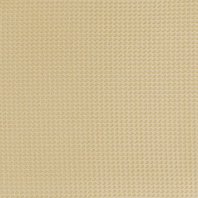 PANA® Teppich Haftstreifen für besseren Halt • 5 x 500 cm